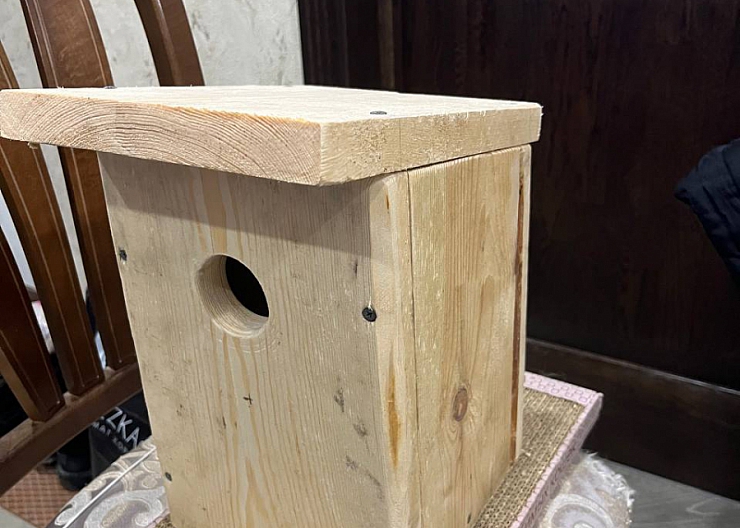 Скворечник 2