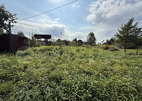 Участок 6 сот., Бор, СНТ Колобок