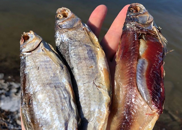 Свеженькая Астраханская Вобла