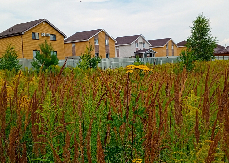 Участок   в г.Бор,п.Неклюдово, ул.Чапаева 2