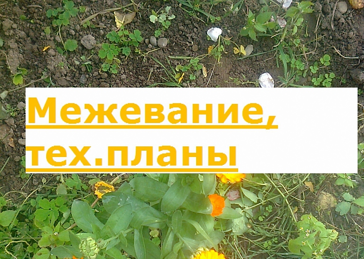 Межевание, тех.планы, схемы