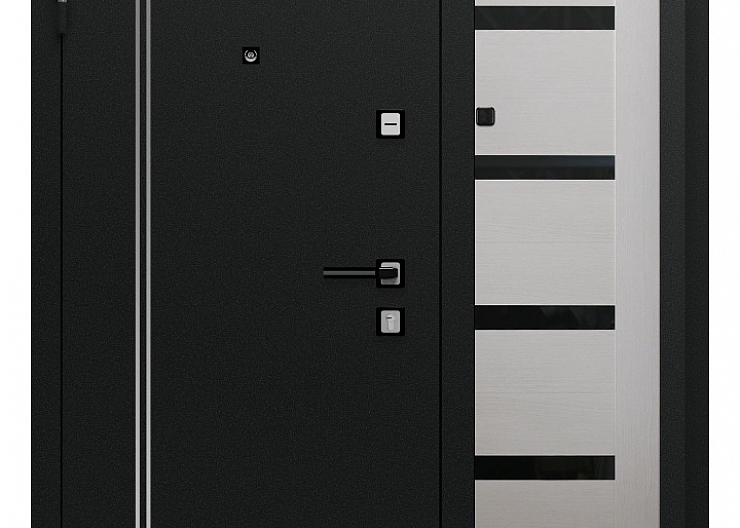 Дверь входная металлическая 2