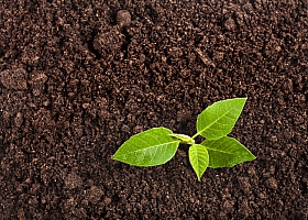 Плодородный грунт