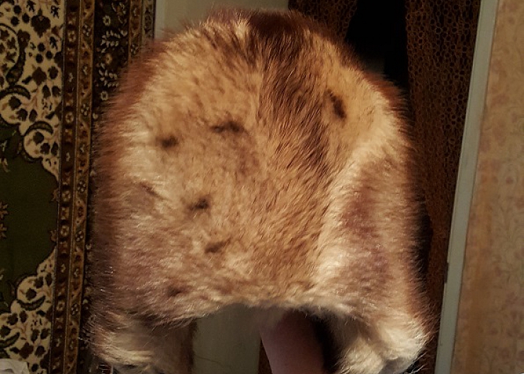 Шапка, зимняя, женская, "енот", р.58, новая 4