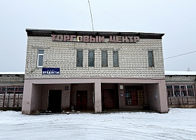 Торговое помещение 861,5 кв.м, г.Бор, д.Плотинка