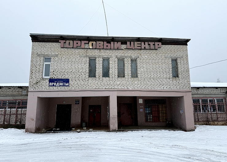 Торговое помещение 861,5 кв.м, г.Бор, д.Плотинка
