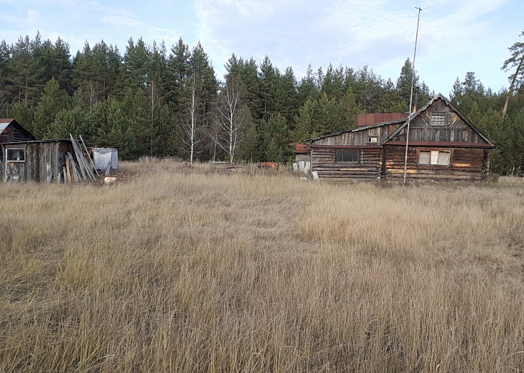 Нижегородская обл.Борский район с.п.Березовка 2