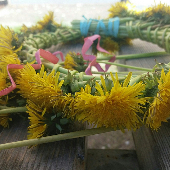 Дарья Орлова